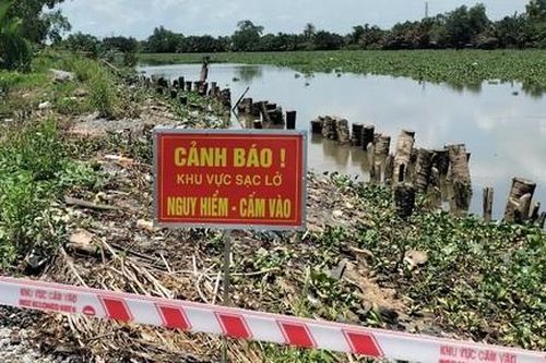 Long An: Xây dựng khẩn cấp 162m đê bao ven sông Vàm Cỏ Tây do sạt lở