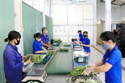 Hà Nội ứng dụng công nghệ thông tin bảo đảm an toàn thực phẩm
