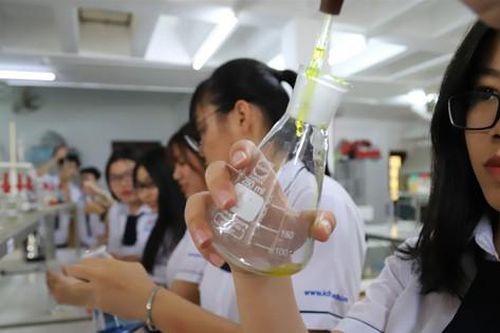 Thành phố Hồ Chí Minh: Học sinh tiểu học đến trường từ ngày 21-8