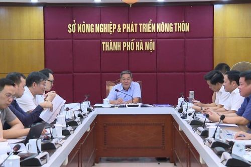 Triển khai thi hành Luật Thủ đô: tầm nhìn mới cho nông nghiệp, nông thôn