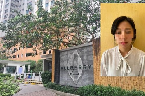 Khởi tố nữ thư ký Ban quản trị chung cư Mulberry Lane ở Hà Đông
