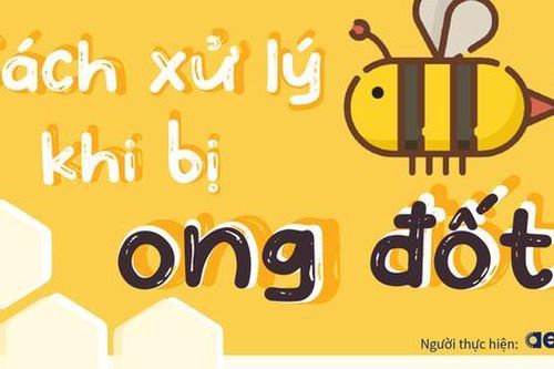 Hướng dẫn cách xử trí khi bị ong đốt