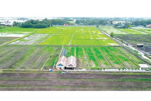 Mẫu đơn xin giao đất, thuê đất từ 1/8/2024