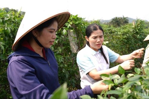 Tạo đòn bẩy để phụ nữ khởi nghiệp