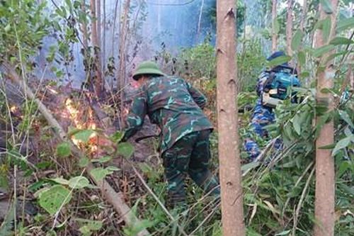 Quảng Bình: 450 người tham gia chữa cháy rừng