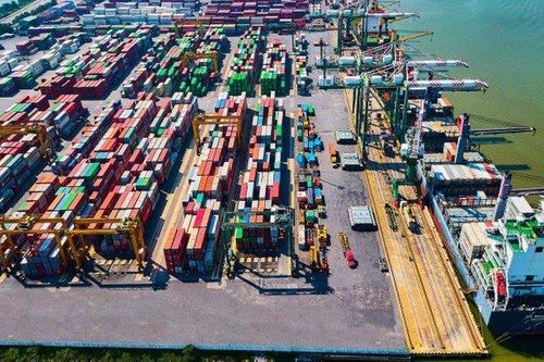 Sau thương vụ thâu tóm Nam Hải Đình Vũ, Viconship (VSC) phát hành 20 triệu cổ phiếu trả cổ tức