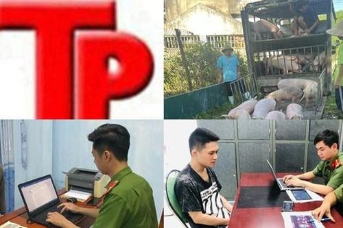 Bản tin Hình sự: Nhiều người 'sập bẫy' lừa đi lao động, định cư ở Mỹ