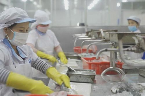 Chuẩn bị tốt kế hoạch làm việc với Đoàn thanh tra EU về kiểm soát dư lượng