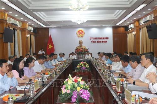 Bộ trưởng Nguyễn Hồng Diên: Bình Định có điều kiện thuận lợi phát triển thị trường tín chỉ carbon