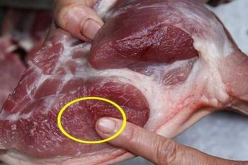 Thịt lợn có 3 đặc điểm này, rẻ đến mấy cũng chớ mua