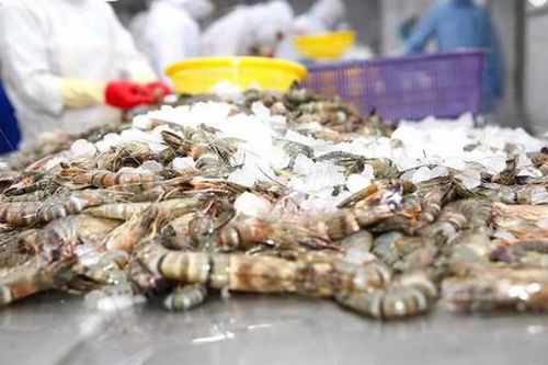 Kinh doanh khởi sắc, Minh Phú vẫn không hoàn thành nổi 5% mục tiêu lợi nhuận
