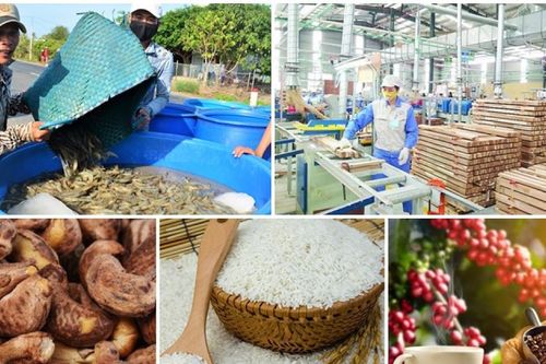Nhiều nông sản Việt Nam đối diện mức kiểm soát dư lượng hoạt chất mới từ EU