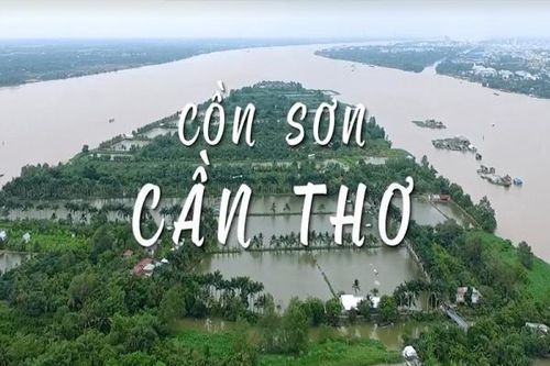 Khám phá Cồn Sơn - khu du lịch sinh thái miệt vườn giữa lòng Cần Thơ