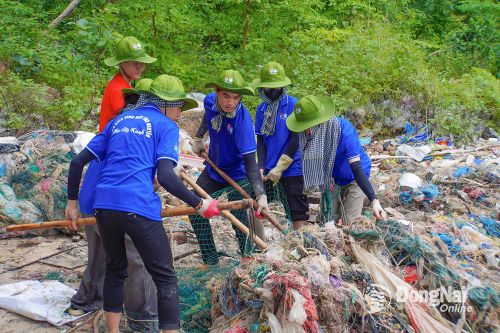 Mùa hè xanh đặc biệt
