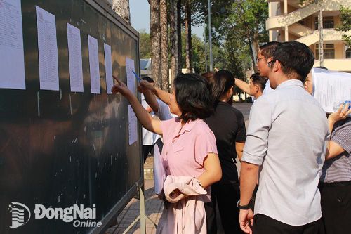 99% công chức cấp tỉnh, huyện làm nhiệm vụ chuyên môn có trình độ đại học trở lên