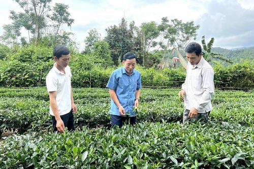 Tam Đường: Nâng cao chất lượng, hiệu quả công tác tuyên giáo