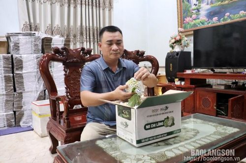 Hợp tác xã Dịch vụ và Sản xuất nông nghiệp Đồng Mỏ: Chú trọng áp dụng kỹ thuật để nâng cao chất lượng sản phẩm