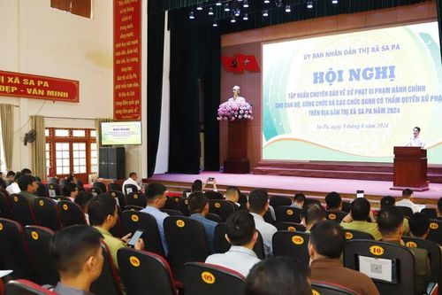 Tập huấn nghiệp vụ chuyên sâu về xử phạt vi phạm hành chính