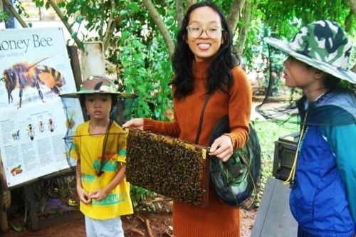Trải nghiệm quy trình loài ong làm mật