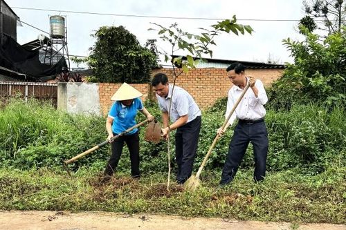 Phụ nữ Bảo Lộc ra quân trồng hơn 1.250 cây xanh