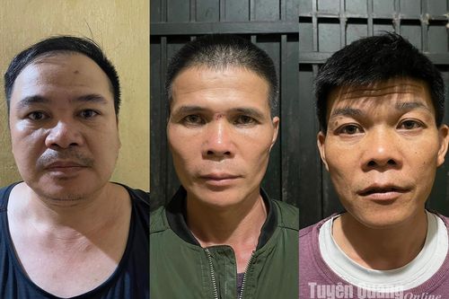 Tuyên Quang khởi tố 3 đối tượng buôn bán gần 70 kg pháo hoa nổ