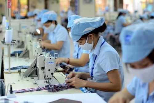 VGT: Cổ phiếu tăng mạnh, nâng tổng giá trị giao dịch lên gấp gần 4 lần