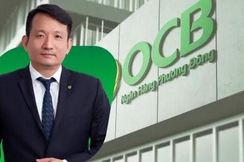 Ông Nguyễn Đình Tùng xin từ nhiệm thành viên HĐQT OCB