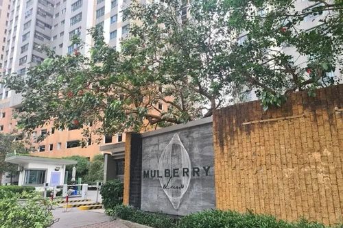Khởi tố nữ thư ký tham ô tiền quỹ của chung cư