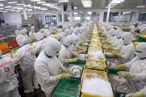 Sau 4 năm thực thi EVFTA: Đòn bẩy thúc đẩy xuất khẩu