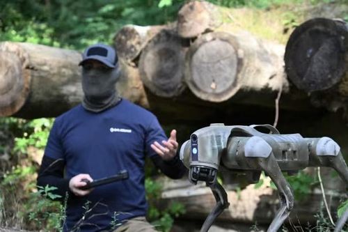 Ukraine sẽ triển khai chó robot ra tiền tuyến