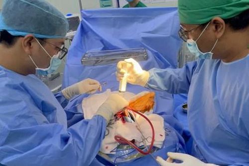 Em trai cầm kéo ném mèo đâm trúng đỉnh đầu chị gái