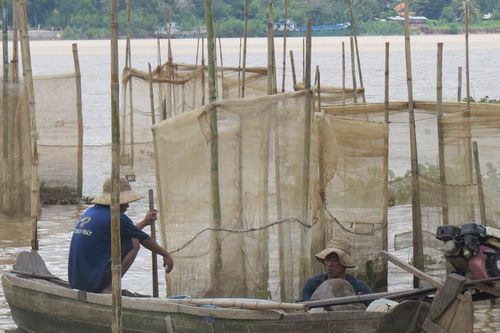Săn đặc sản mùa nước nổi