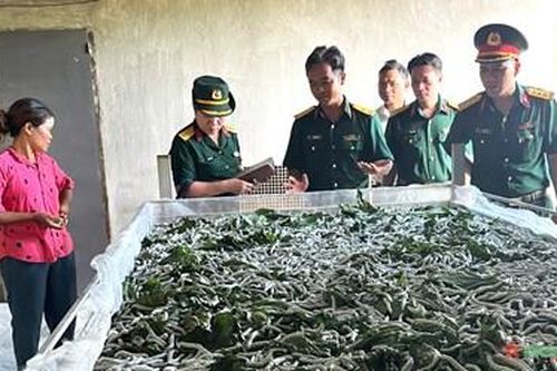 Nhiều mô hình thiết thực giúp đồng bào dân tộc thiểu số tại Lâm Đồng thoát nghèo