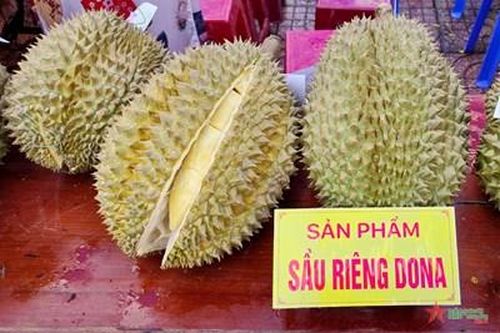 Khánh Sơn tổ chức hội thi trái cây ngon, sầu riêng siêu to
