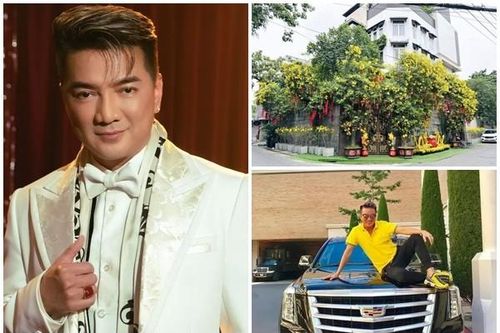 Đàm Vĩnh Hưng giàu cỡ nào trước khi bị lừa 200 triệu?
