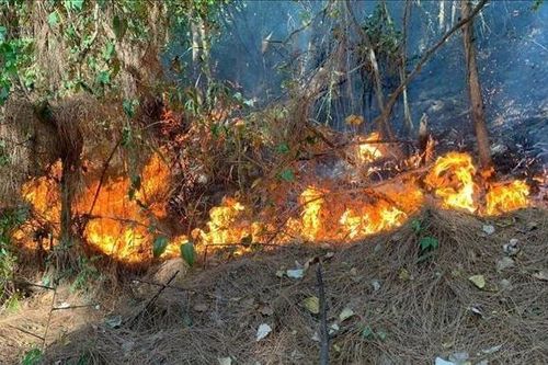 Hàng trăm người chiến đấu với 'giặc lửa' để cứu rừng ở Quảng Bình