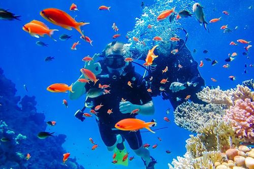 Nha Trang lọt Top 5 điểm lặn biển 'nhất định phải đến' ở châu Á