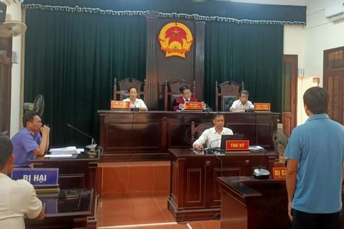 Ra tòa vì hủy hoại gần 300 cây bưởi