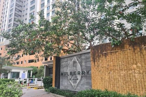 Nữ thư ký Ban quản trị chung cư Mulberry Lane bị khởi tố vì làm giả giấy tờ tham ô tài sản