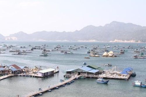 Đề xuất hơn 200 tỷ xây kè bảo vệ 'quốc đảo' tôm hùm Bình Ba