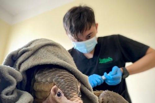 Hành trình 10 năm cứu hộ hàng nghìn động vật hoang dã