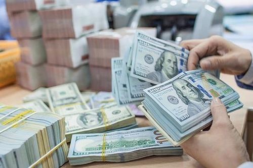 Tin tức kinh tế ngày 10/8: Tỷ giá đang giảm dần