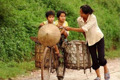 Hình bóng tảo tần