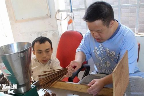 Chung tay 'Thắp sáng tương tai' cho các nạn nhân chất độc da cam/dioxin