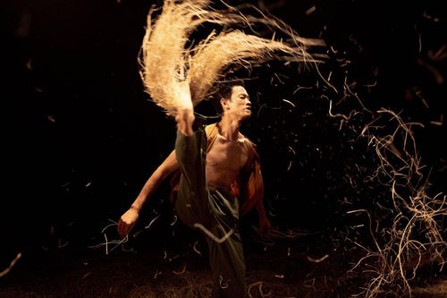 Vở diễn 'Rơm' tôn vinh vẻ đẹp của cánh đồng lúa chín Hội An