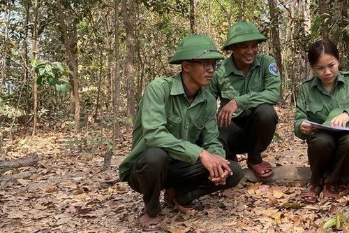 Nhọc nhằn nghề gác rừng - Bài 2: Những 'bóng hồng khắc tinh' của lâm tặc