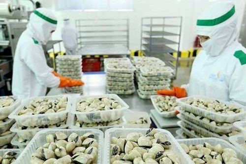 Xuất khẩu nhuyễn thể có vỏ mang về hơn 95 triệu USD