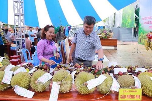 Liên kết tiêu thụ nông sản Khánh Sơn