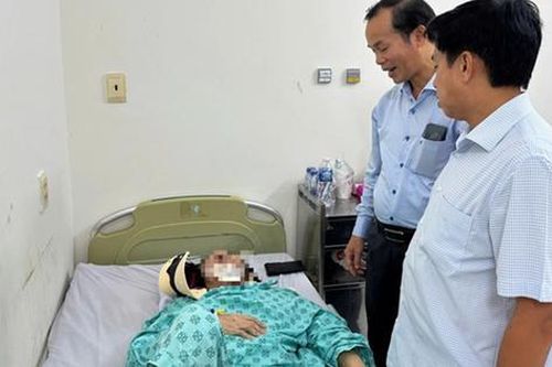 TPHCM: 3 nạn nhân bị cành cây gãy rơi trúng người ở công viên Tao Đàn đang được chăm sóc tích cực