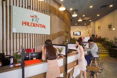 Sở hữu vốn tại 3 ngân hàng lớn, Prudential Việt Nam làm ăn ra sao?